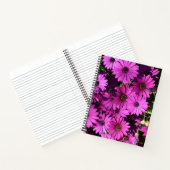 Lila Osteospermum-Blume Notizblock (Innenseite)