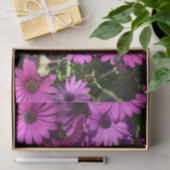 Lila Osteospermum-Blume Seidenpapier (Geschenk)