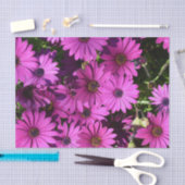 Lila Osteospermum-Blume Seidenpapier (Handwerk)