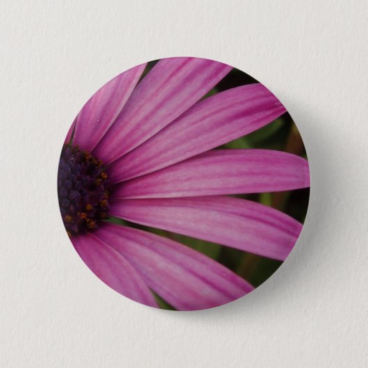 Lila Osteospurmum Knopf Button (Vorderseite)