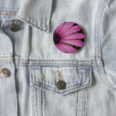 Lila Osteospurmum Knopf Button (Beispiel)