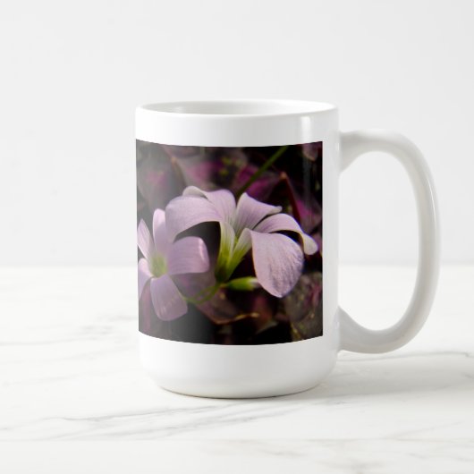 Lila Oxalis-Blüten Kaffeetasse (Rechts)