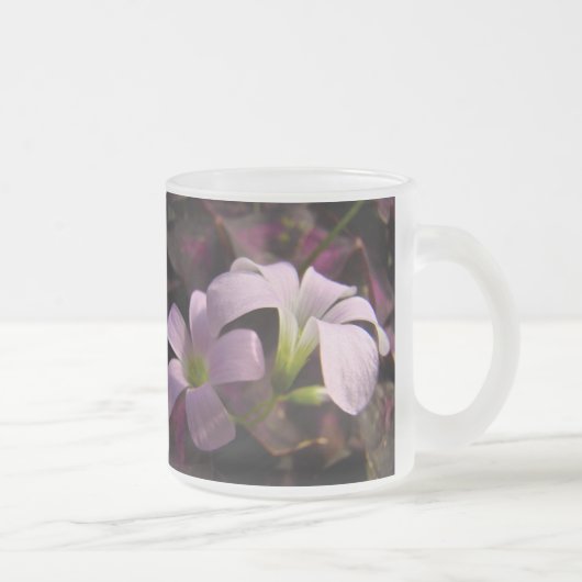 Lila Oxalis-Blüten Mattglastasse (Rechts)