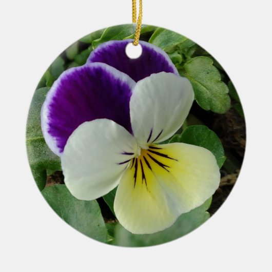 Lila Panik Keramik Ornament (Vorne)