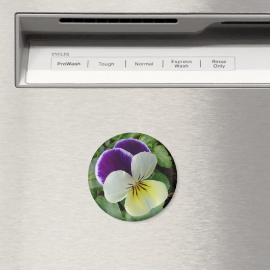 Lila Panik Magnet (In Situ (Geschirrspüler))