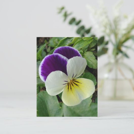 Lila Panik Postkarte (Stehend Vorderseite)