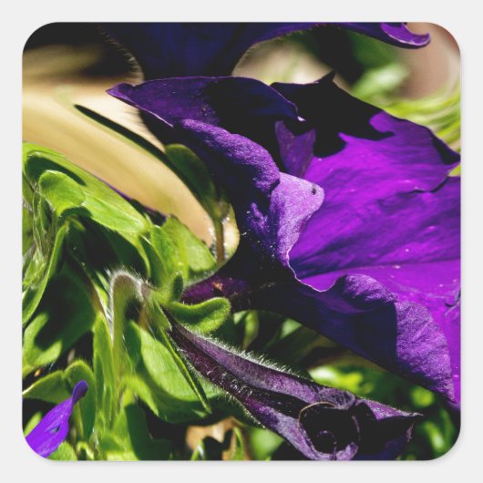 Lila Panik Quadratischer Aufkleber (Vorderseite)