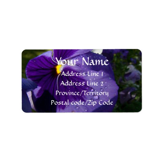 Lila Pansy Adressaufkleber (Vorne)