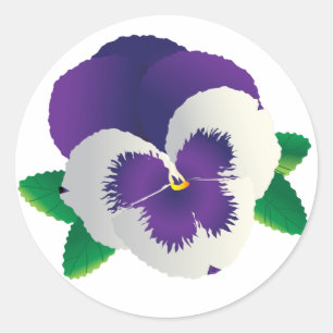 Lila Pansy-Aufkleber Runder Aufkleber