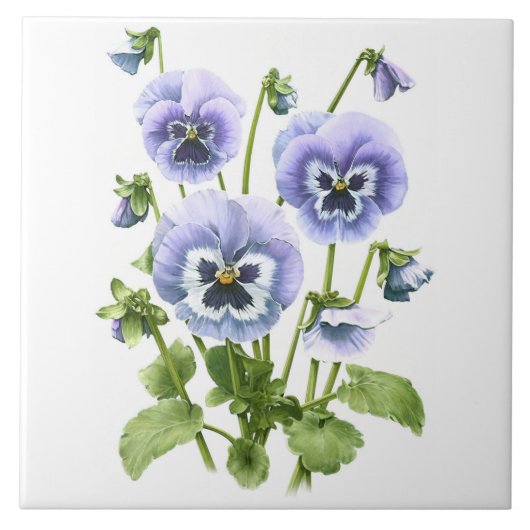 Lila Pansy Blume Botanische Kunst Fliese (Vorderseite)
