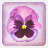 Lila Pansy-Blume Quadratischer Aufkleber (Vorderseite)