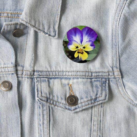 Lila Pansy Button (Beispiel)