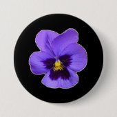 Lila Pansy Button (Vorderseite)