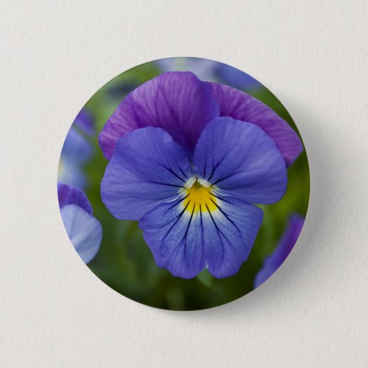 Lila Pansy Button (Vorderseite)