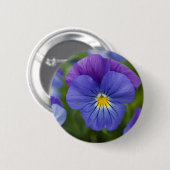 Lila Pansy Button (Vorne & Hinten)