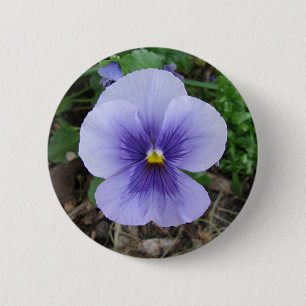 Lila Pansy Button