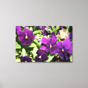 Lila Pansy eingewickelte Kunst-Leinwand Leinwanddruck