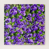 Lila Pansy Field, Puzzle (Horizontal)
