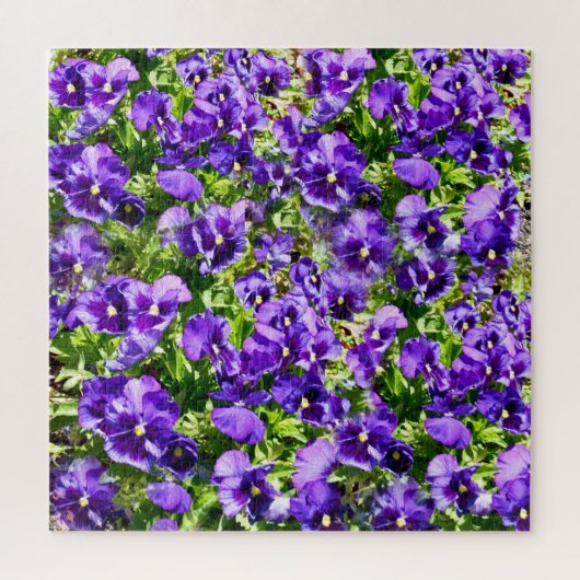 Lila Pansy Field, Puzzle (Vertikal)