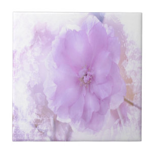 Lila Pansy Fliese