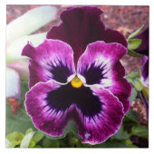 Lila Pansy-Fliese Fliese (Vorderseite)