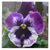 Lila Pansy-Fliese Fliese (Vorderseite)