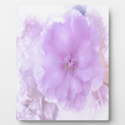 Lila Pansy Fotoplatte (Vorderseite)