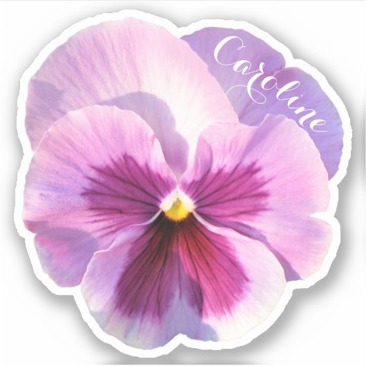 Lila Pansy Individuelle Name Countoy Sticker (Vorderseite)