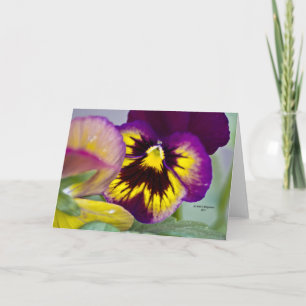 Lila Pansy Karte