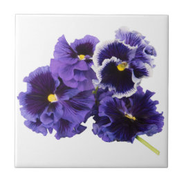 Lila Pansy Keramik Tile Fliese