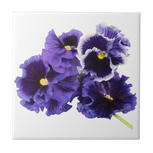 Lila Pansy Keramik Tile Fliese (Vorderseite)