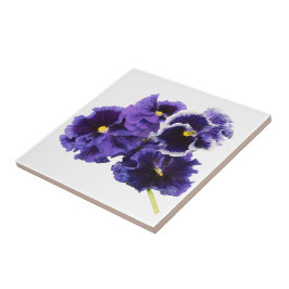 Lila Pansy Keramik Tile Fliese
