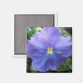 Lila Pansy Magnet (Vorderseite/Rückseite)