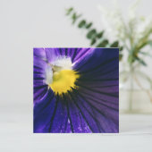 Lila Pansy-Makro-Foto modern (Stehend Vorderseite)