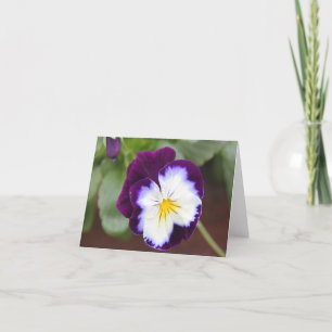 Lila Pansy-Mitteilungskarten, leeres Innere Karte