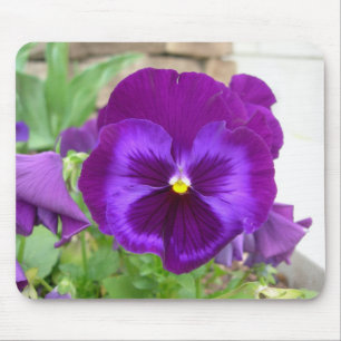Lila Pansy Mousepad