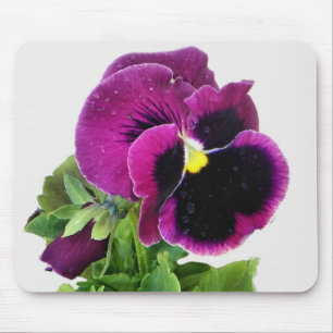 Lila Pansy-Mousepad Mousepad