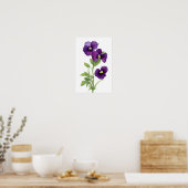 Lila Pansy Poster (Küche)
