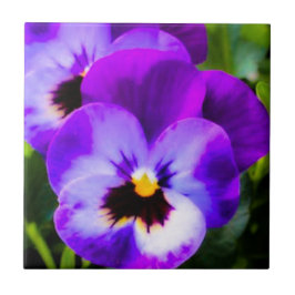 Lila Pansy Tile Fliese
