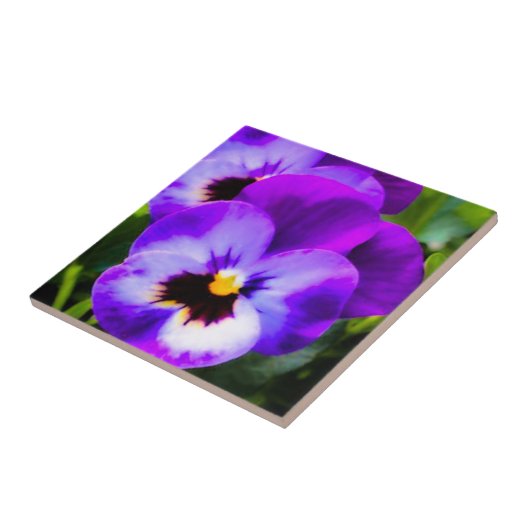 Lila Pansy Tile Fliese (Seite)