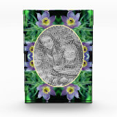 Lila Pasque-Blume erstellen Fotoblock (Vorderseite)