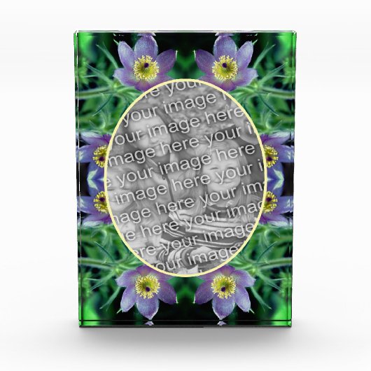 Lila Pasque-Blume erstellen Fotoblock (Vorderseite)