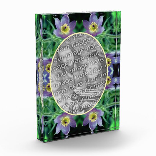 Lila Pasque-Blume erstellen Fotoblock (Links)