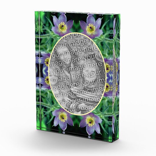 Lila Pasque-Blume erstellen Fotoblock (Rechts)