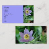 Lila Pasque Flower Fotografy Business Card Visitenkarte (Vorne/Hinten)