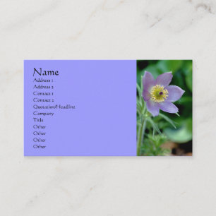 Lila Pasque Flower Fotografy Business Card Visitenkarte