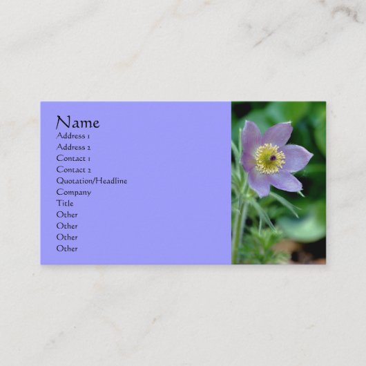 Lila Pasque Flower Fotografy Business Card Visitenkarte (Vorderseite)