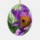 Lila Pasque Macro Blume Ornament (Rechts)