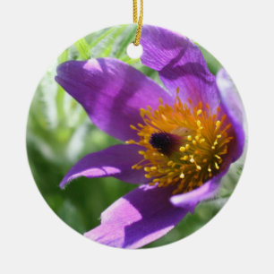 Lila Pasque Macro Blume Ornament