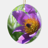 Lila Pasque Macro Blume Ornament (Links)